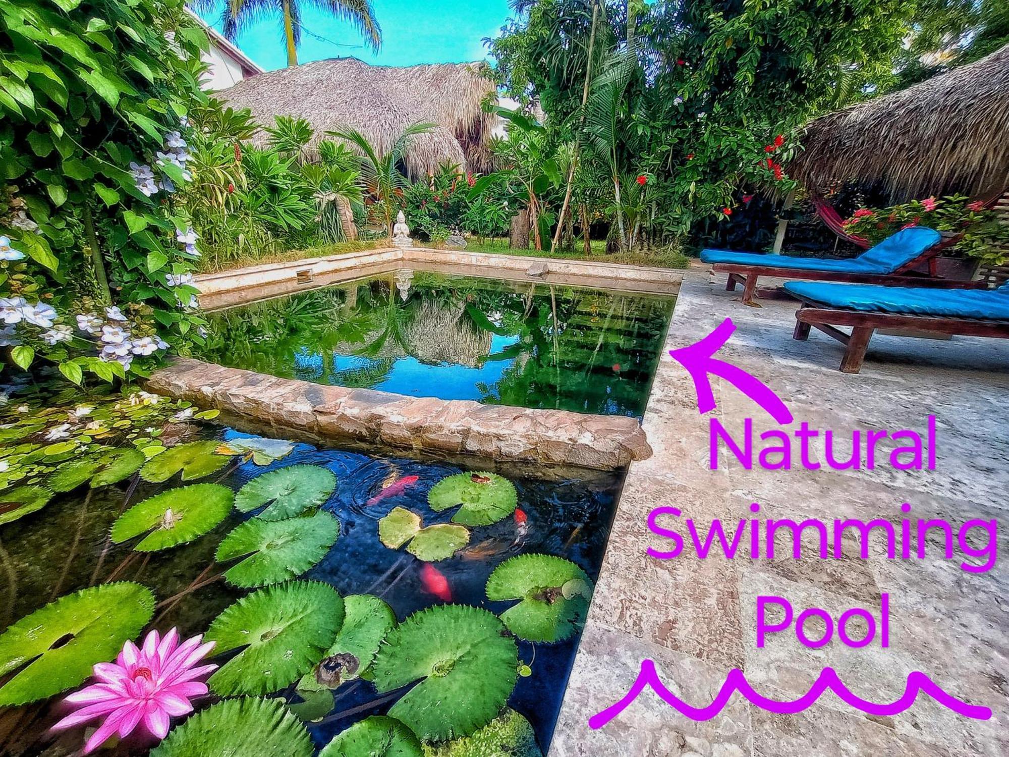 Dream Glamping Jungle Bohio Hotel Лас Теренас Екстериор снимка
