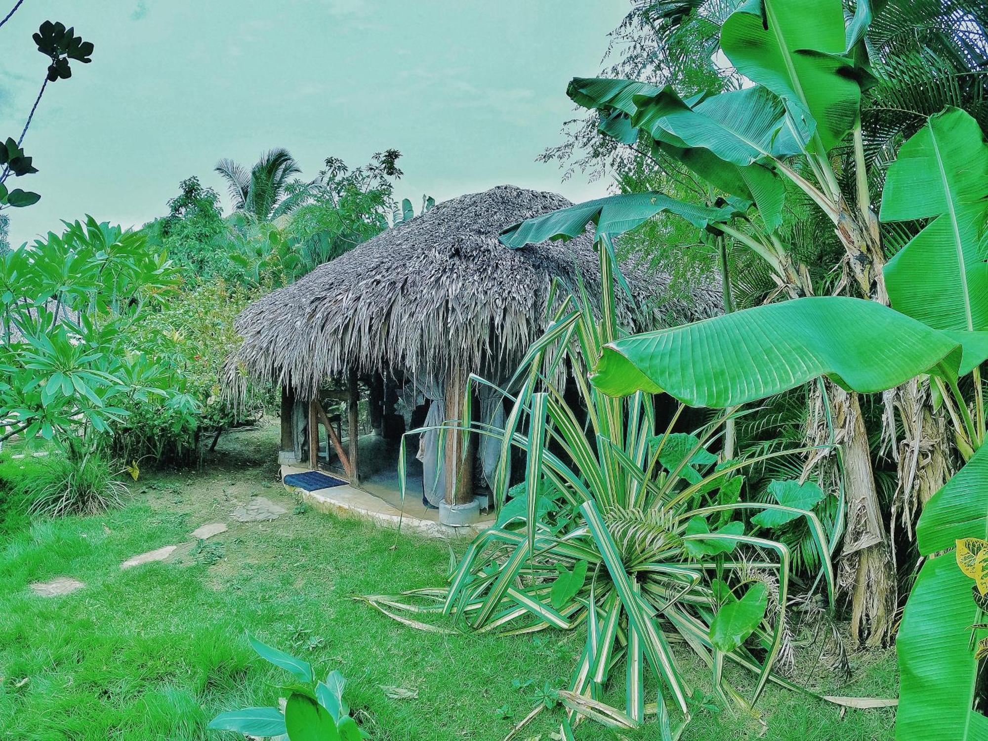 Dream Glamping Jungle Bohio Hotel Лас Теренас Екстериор снимка
