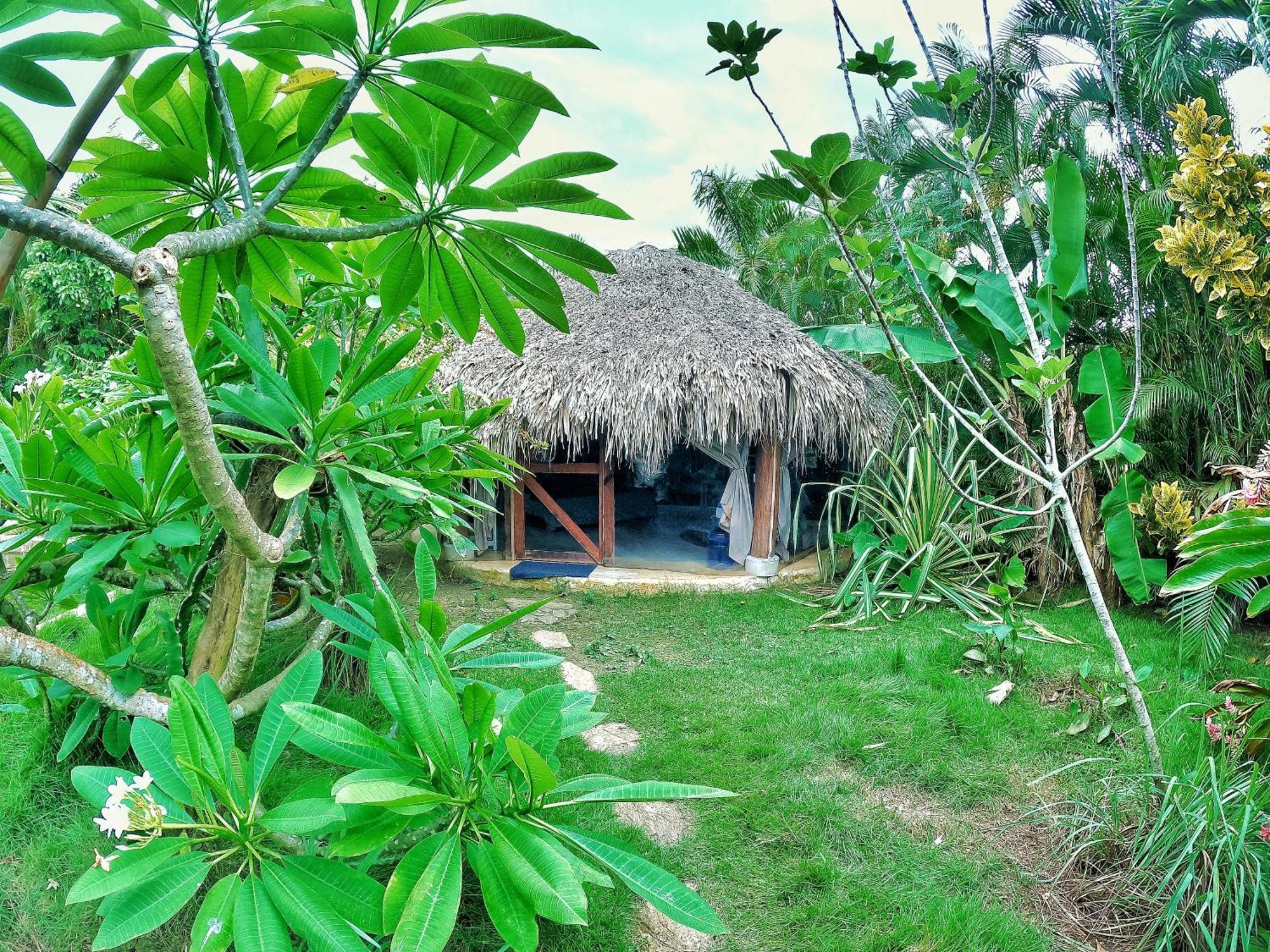 Dream Glamping Jungle Bohio Hotel Лас Теренас Екстериор снимка